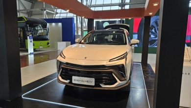 مقصد خودروهای وارداتی، نمایشگاه‌های خودرو است