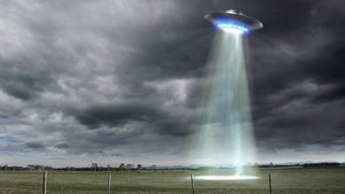 موجودات فضایی احتمالا به این دلیل منقرض شده‌اند!