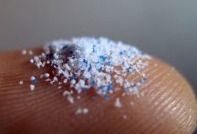 میکروپلاستیک‌ها حتی در بیضه انسان نیز یافت شده‌اند