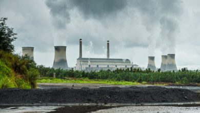 همکاری غول‌های فناوری برای حذف کربن از جو زمین؛ ائتلاف گوگل، متا و مایکروسافت