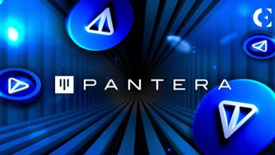 پنترا کپیتال با سرمایه‌گذاری در شبکه تن رکورد زد! منتظر رکوردشکنی TON هم باشیم؟