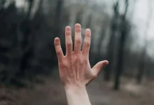 چرا اغلب پستانداران پنج انگشت دارند؟