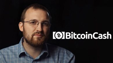 کاردانو به دنبال همکاری با بیت‌کوین کش! چه آینده‌ای در انتظار این دو شبکه است؟