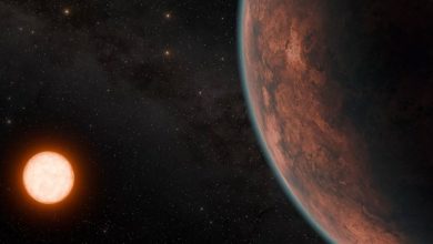 کشف سیارهای «بالقوه قابل سکونت» در فاصله تنها ۴۰ سال نوری از زمین