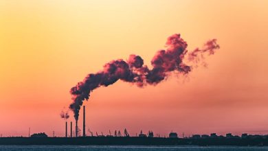 کشف مولکول‌هایی جدید با توانایی جذب گازهای گلخانه‌ای