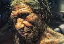 ۱۰ تأثیر عجیب DNA نئاندرتالها روی سلامت انسان امروزی