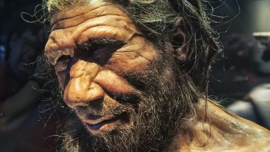 ۱۰ تأثیر عجیب DNA نئاندرتال‌ها روی سلامت انسان امروزی
