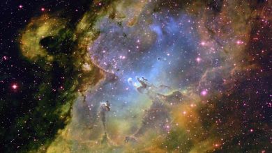 ابر مولکولی Chamaeleon I