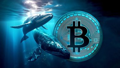 افزایش فعالیت نهنگهای بیت کوین! آيا افزایش قیمت BTC در راه است؟