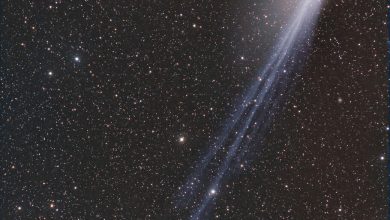 تصویر روز ناسا: دم‌های جهت‌دار دنباله‌دار Pons-Brooks