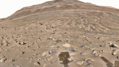 تصویر روز ناسا: سایه کاوشگر مریخی