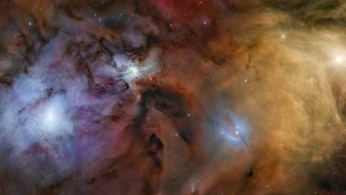 تصویر روز ناسا: ستارهها و ابرهای رنگارنگ در نزدیکی رو اوفیوچی