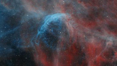 تصویر روز ناسا: قلمرو سحابی WR 134