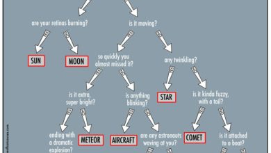 تصویر روز ناسا: چگونه نور آسمان را شناسایی کنیم