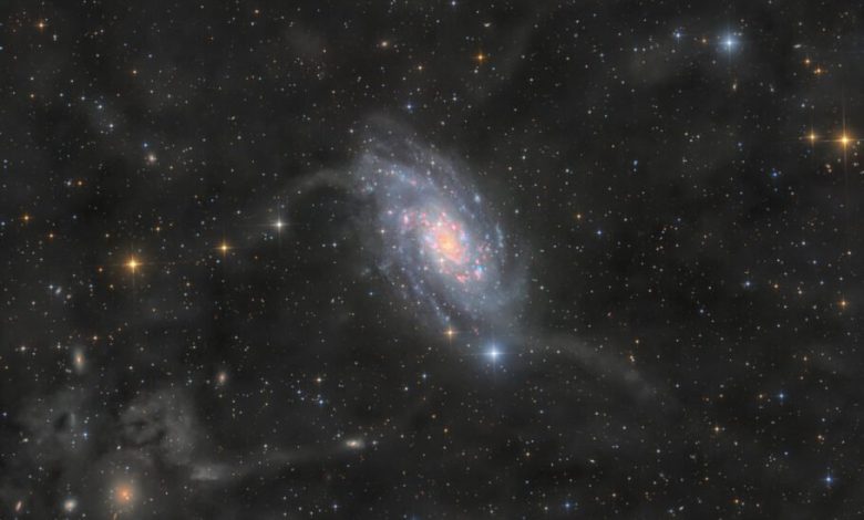 تصویر روز ناسا: NGC 2403 در زرافه