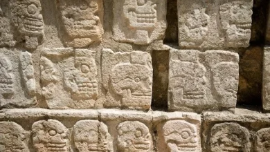 دانشمندان یک گور دسته‌جمعی از تمدن مایا کشف کردند؛ قربانی‌کردن بیش از ۱۰۰ پسر جوان