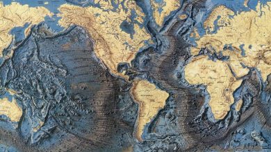 مطالعه جدید: اقیانوس‌ها در تنظیم دی‌اکسید کربن جوی نقش مهمی دارند