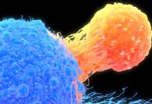 نتایج یک تحقیق: داروی جدید سرطان ریه فایزر اثربخشی چشمگیر دارد