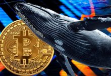 نهنگها دوباره به بازار هجوم آوردند؛ خرید بیش از ۲۰ هزار بیت کوین در یک روز!