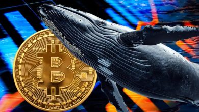 نهنگ‌ها دوباره به بازار هجوم آوردند؛ خرید بیش از ۲۰ هزار بیت کوین در یک روز!