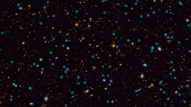 کشف جدید تلسکوپ جیمز وب پنجره‌ای تازه به دنیای ابرنواخترها باز می‌کند