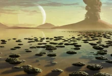 آخرین جد مشترک کل حیات خیلی زودتر از آنچه تصور می‌شد، ظهور کرد