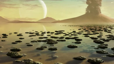 آخرین جد مشترک کل حیات خیلی زودتر از آنچه تصور می‌شد، ظهور کرد