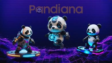 آغاز پیش‌فروش توکن پاندیانا در روز پنجشنبه! آیا این توکن مسیر BONK و WIF را خواهد رفت؟