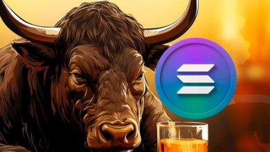 آیا سولانا رشد ۱۰ برابری خود را تکرار خواهد کرد؟ نامزدهای جایگزینی این توکن کدامند؟