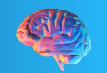 آیا میتوانیم روند پیری مغز را تغییر دهیم؟