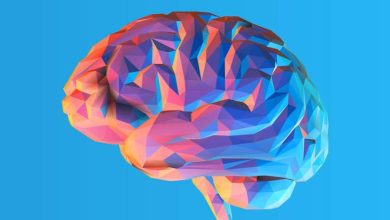 آیا میتوانیم روند پیری مغز را تغییر دهیم؟