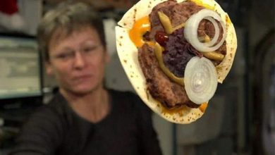 احساس بیمزگی غذا در فضا بهعلت تنهایی است