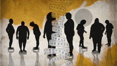 افراد چاق و سالم چگونه میتوانند به درک چاقی کمک کنند؟