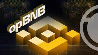 افزایش ۳۰ درصدی قیمت بایننس‌کوین! رشد BNB تا کجا ادامه خواهد داشت؟