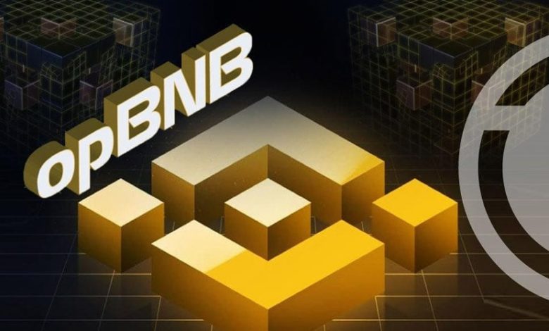 افزایش ۳۰ درصدی قیمت بایننس‌کوین! رشد BNB تا کجا ادامه خواهد داشت؟