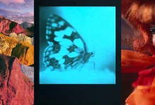 برندگان متفاوت مسابقه بین‌المللی عکاسی: عکاسی آنالوگ