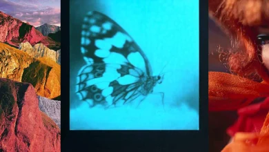 برندگان متفاوت مسابقه بینالمللی عکاسی: عکاسی آنالوگ