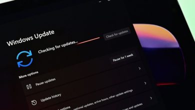 بهروزرسانی جدید ویندوز ۱۱ برای رفع باگ و اضافهکردن چند قابلیت و تبلیغ منتشر شد