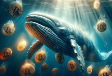 بیت‌کوین در آستانه انفجار قیمتی؛ نهنگ‌ها ذخایر خود را به اوج دو ساله رساندند!