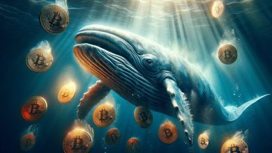 بیتکوین در آستانه انفجار قیمتی؛ نهنگها ذخایر خود را به اوج دو ساله رساندند!