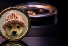 تحلیل قیمت سگ کلاهدار؛ آیا WIF بیشتر رشد می‌کند؟