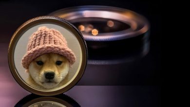 تحلیل قیمت سگ کلاهدار؛ آیا WIF بیشتر رشد میکند؟