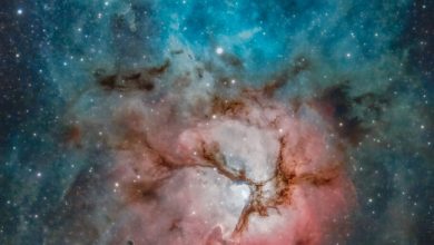 تصویر روز ناسا: سحابی زیبای تریفید