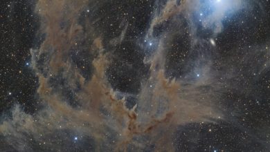 تصویر روز ناسا: سحابیهای تاریک آفتابپرست