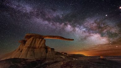 تصویر روز ناسا: پادشاه بالها در زیر کهکشان راه شیری