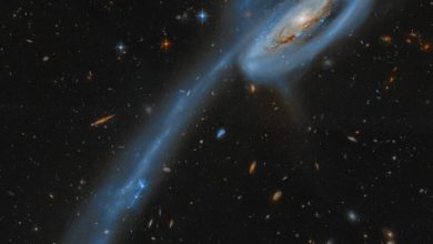 تصویر روز ناسا: کهکشان بچه قورباغه از هابل