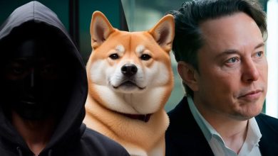 توسعهدهنده ارشد شیبا خواستار ملاقات با ایلان ماسک! چه برنامههایی در راه است؟