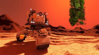 خزه میتواند در مریخ رشد کند