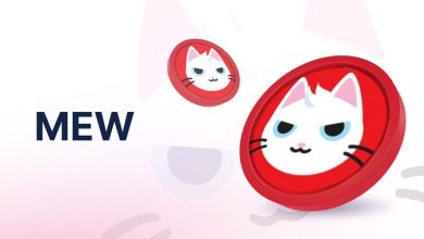 درخشش دوباره گربه سولانا؛ میو با رشد ۴۵ درصدی خود، بازار را شگفتزده کرد!