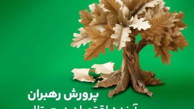 دور دوم «مسیر شغلی پرورش رهبران آینده اقتصاد دیجیتال» در فناپ آغاز شد